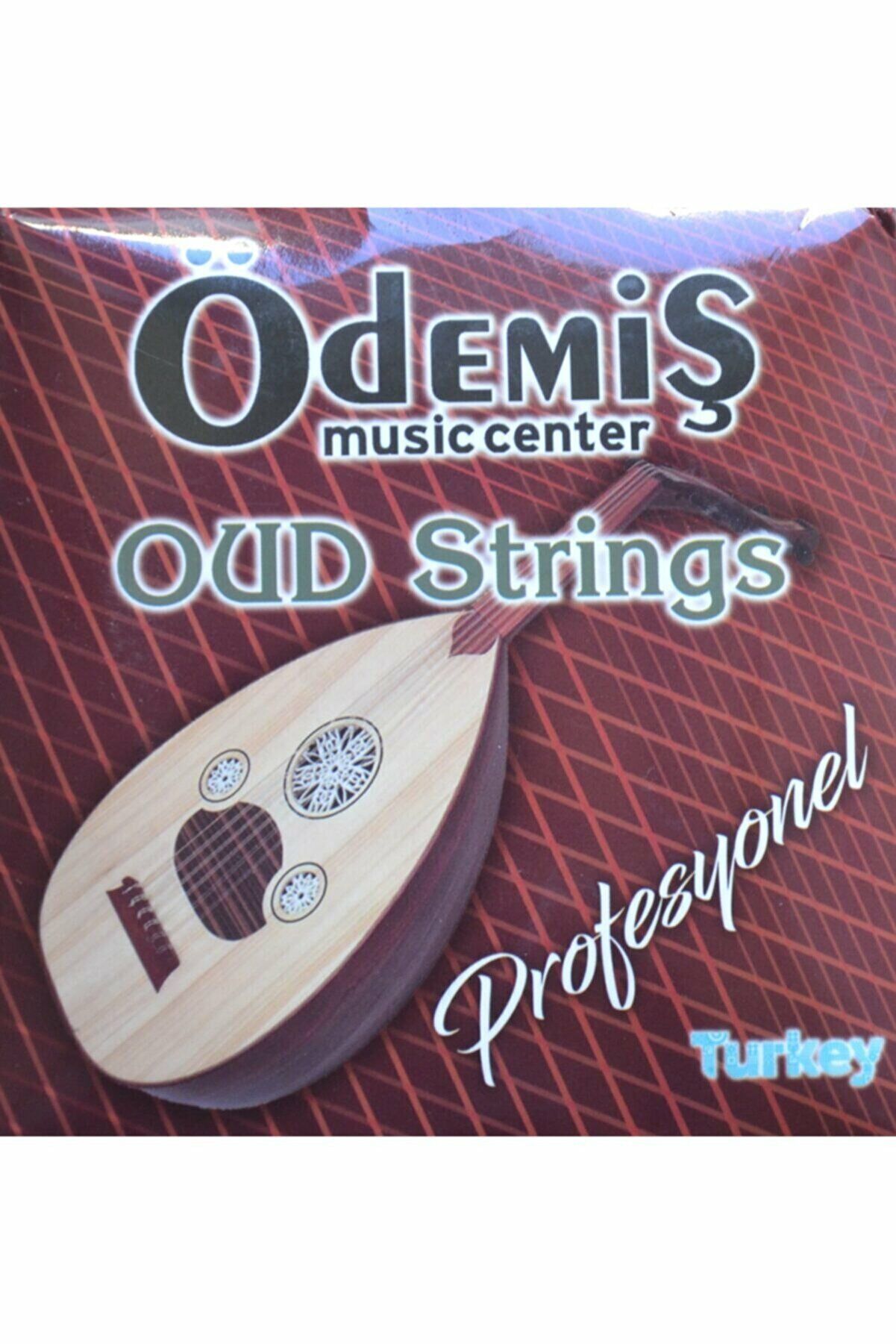 ÖDEMİŞ UD TELİ TAKIM