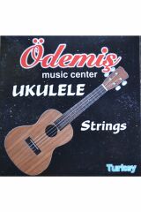 ÖDEMİŞ UKULELE TELİ TAKIM