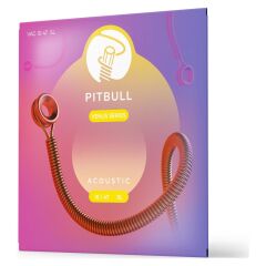 PİTBULL VAG VENÜS SERİ AKUSTİK GİTAR TELİ 10-47