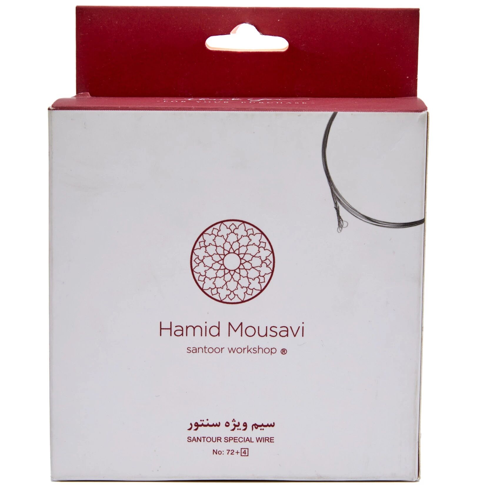 MOUSAVİ SANTUR TELİ TAKIM