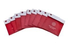 MOUSAVİ SANTUR TELİ TAKIM