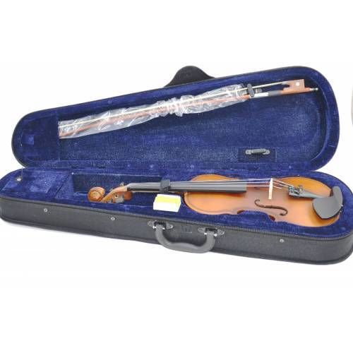 PAGANNİNİ VG001L-4/4-G ÖĞRENCİ KEMAN MAT 4/4