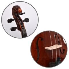 DVAP34 Viyola Profesyonel El Yapımı
