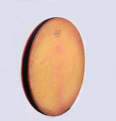 REMO ERBANE DÜZ KALİTELİ PROFESYONEL KILIF HEDİYE