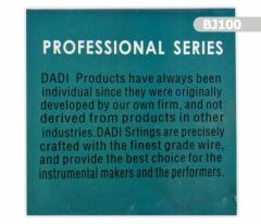 BJ100 Banjo Takım Tel