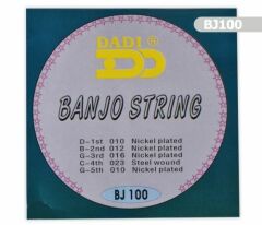 BJ100 Banjo Takım Tel