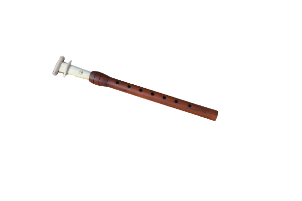 PROFESYONEL ERİK MEY ORTA BOY 24 CM - Sİ + PROF KAMIŞ HEDİYE