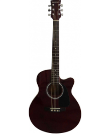 MASTERWORK MWA-4000CE WRS ELEKTRO AKUSTİK GİTAR GÜL KURUSU