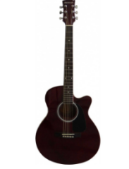 MASTERWORK MWA-4000CE WRS ELEKTRO AKUSTİK GİTAR GÜL KURUSU