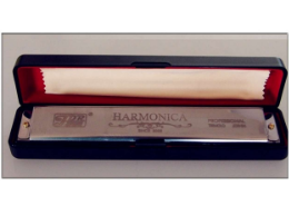 HONER HM0324 PROFESYONEL MIZIKA 24 DELİK