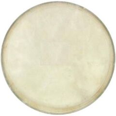 COX DER-B-8 DJEMBE DERİSİ 8İNÇ